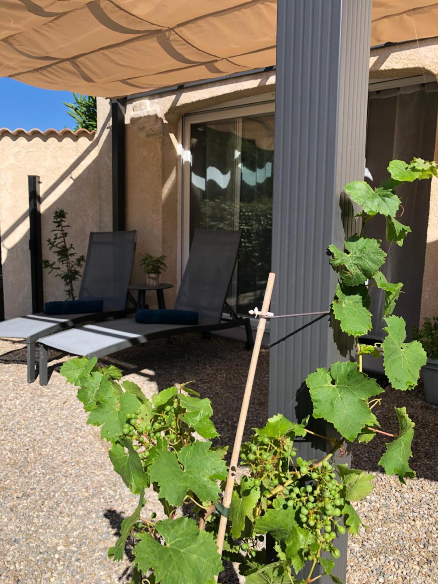 Marie Jean Chambre D'Hotes & Gite Oupia Exterior foto